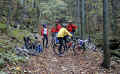 33-trail.jpg (109058 Byte)